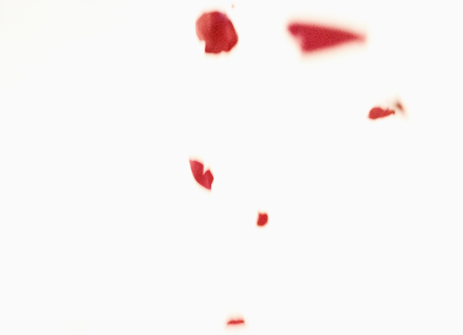 Flies of Memory, Ann Lislegaard, 1995