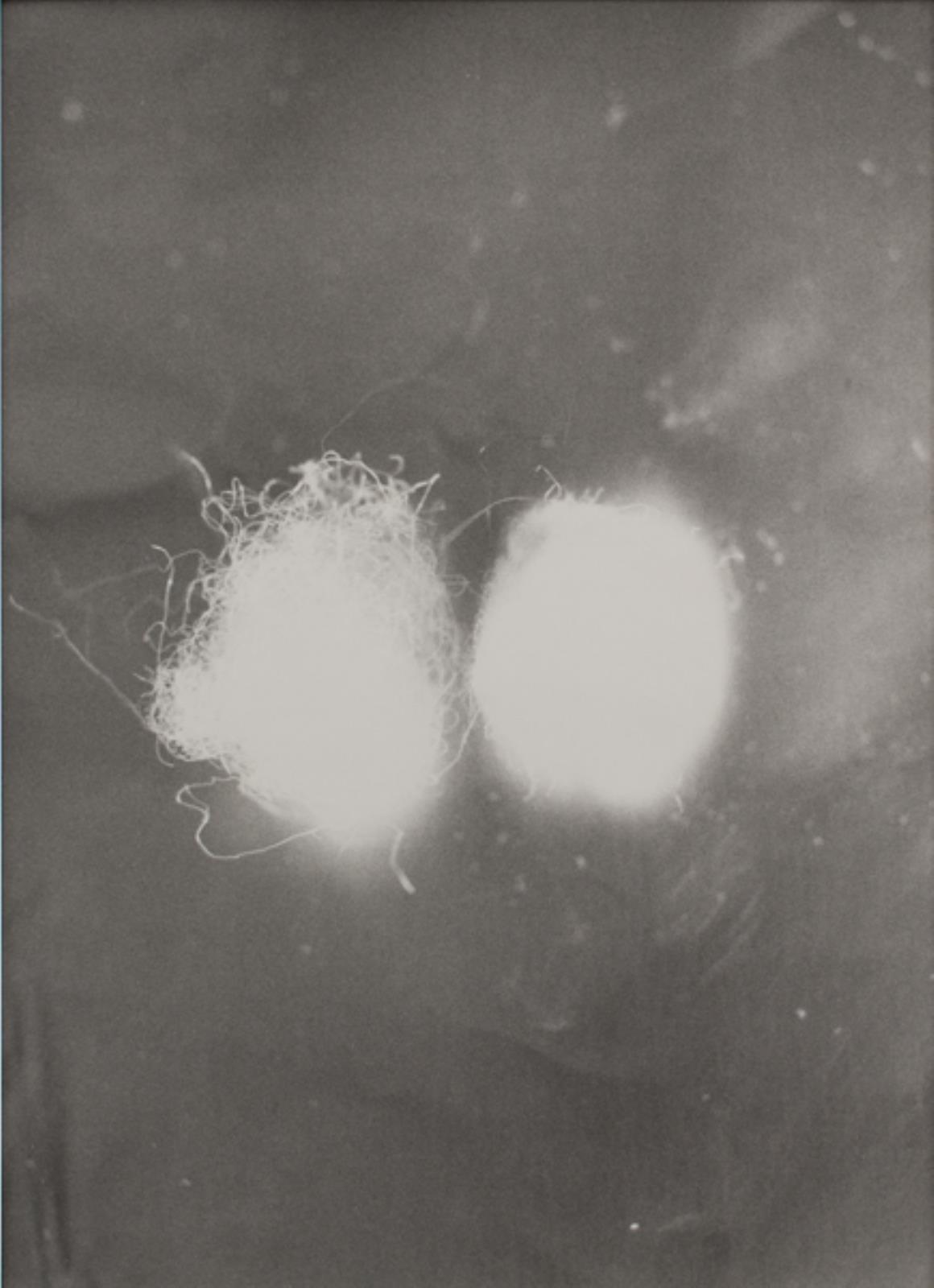 Uden titel, Mike Kelley, 1994