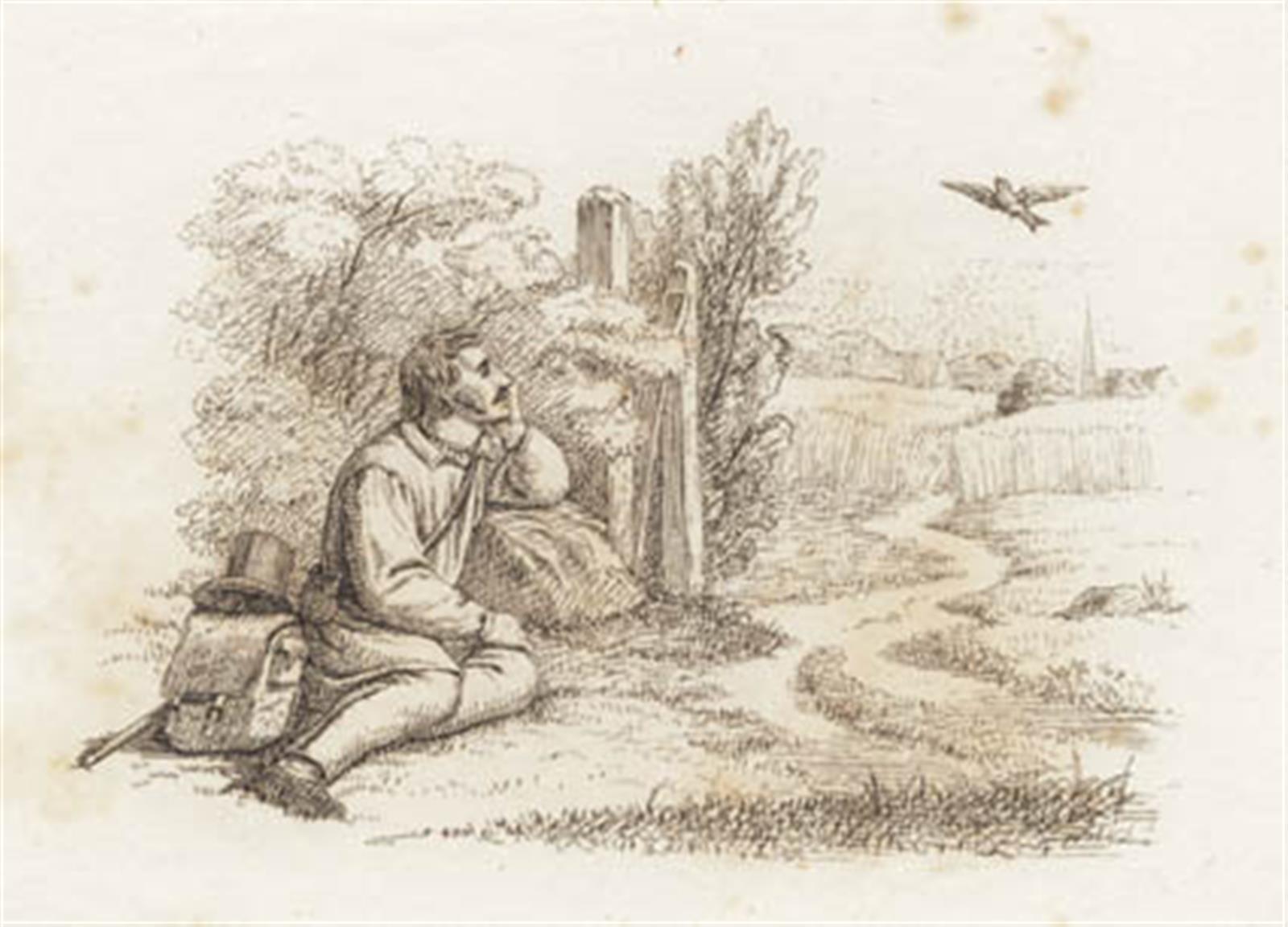 Illustration til "Halvhundrede Fabler for Børn" af Hey