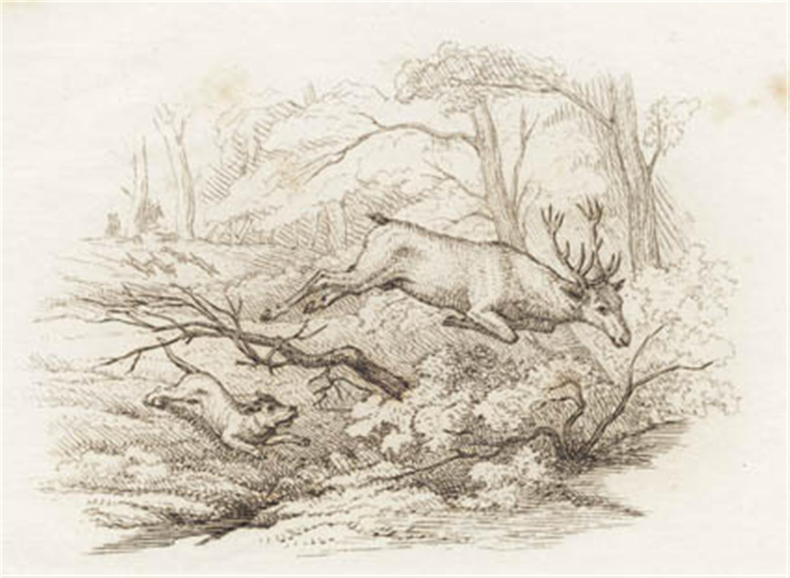 Illustration til "Halvhundrede Fabler for Børn" af Hey