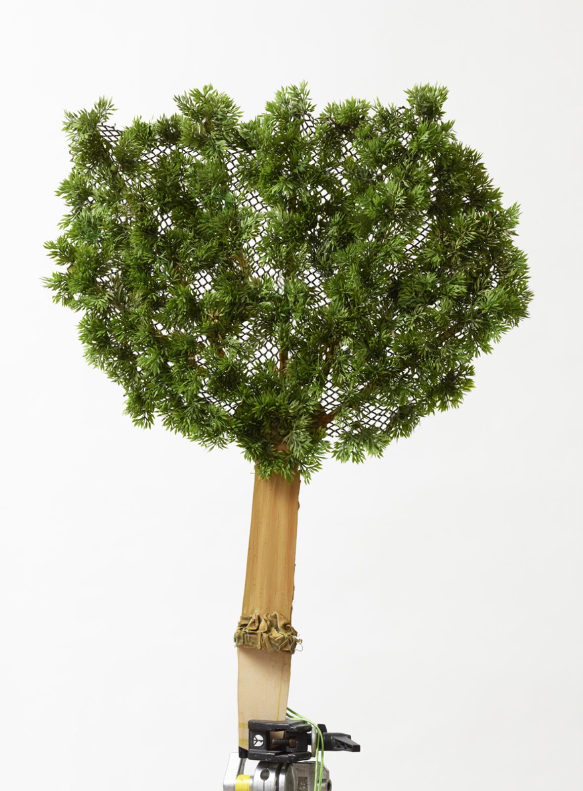 The Expedition, Simon Starling, 2011