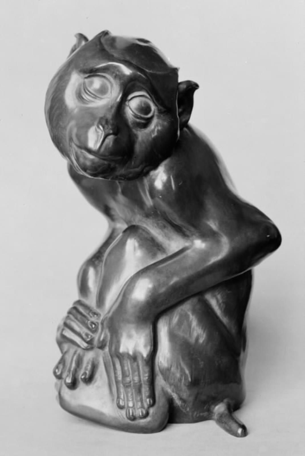 Et skumpelskud. Sammenkrøben abe