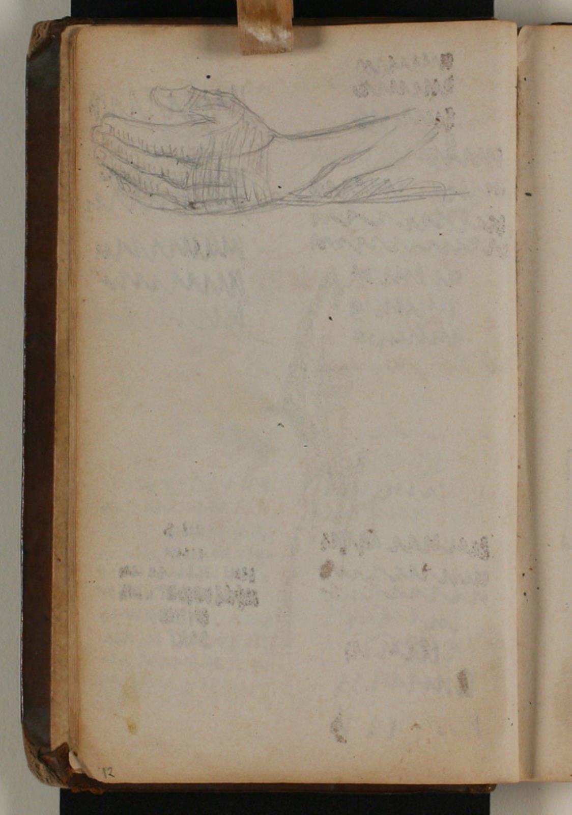 Studie af hånd og underarm