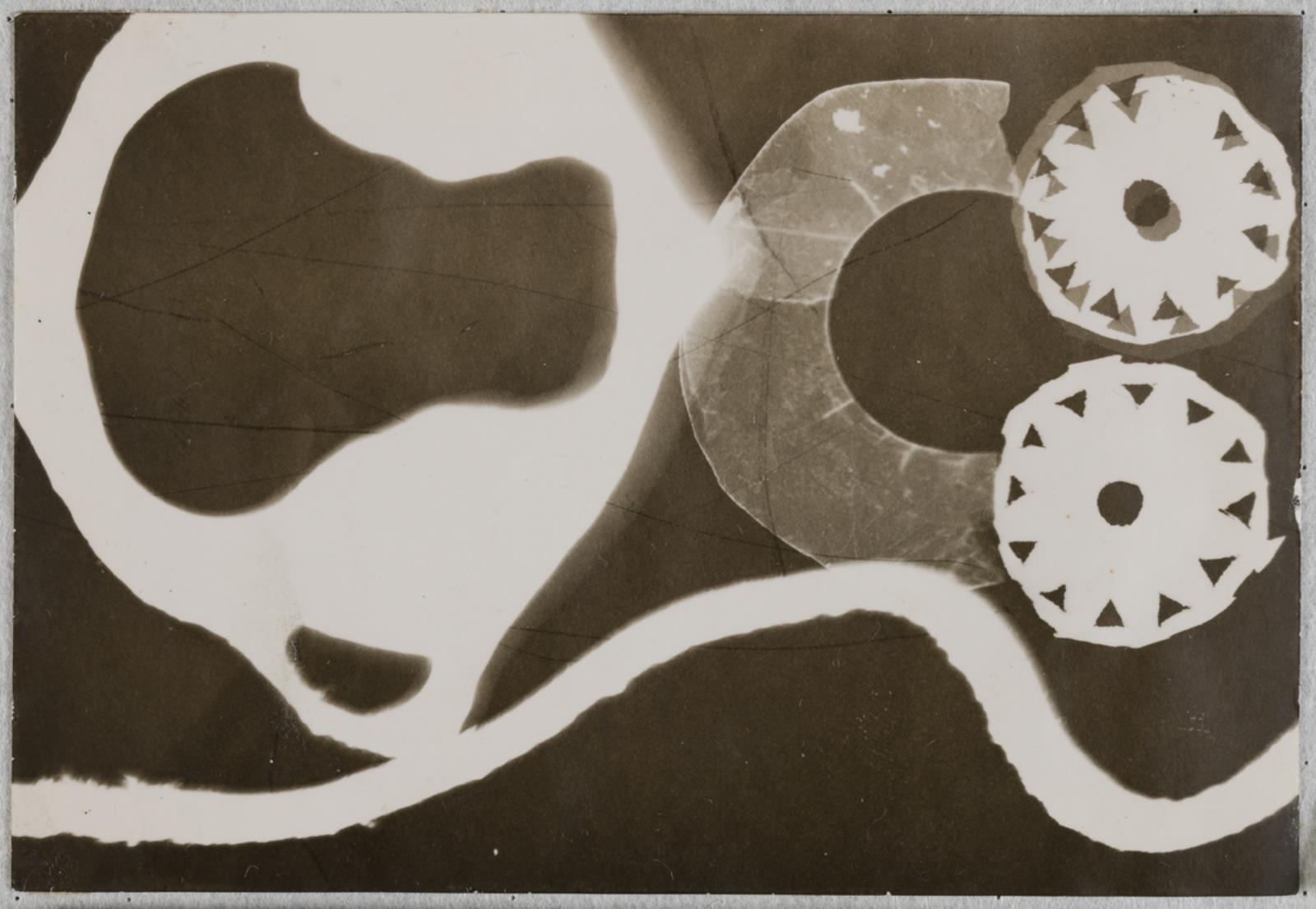 Fotogram, Richard Winther, 1947