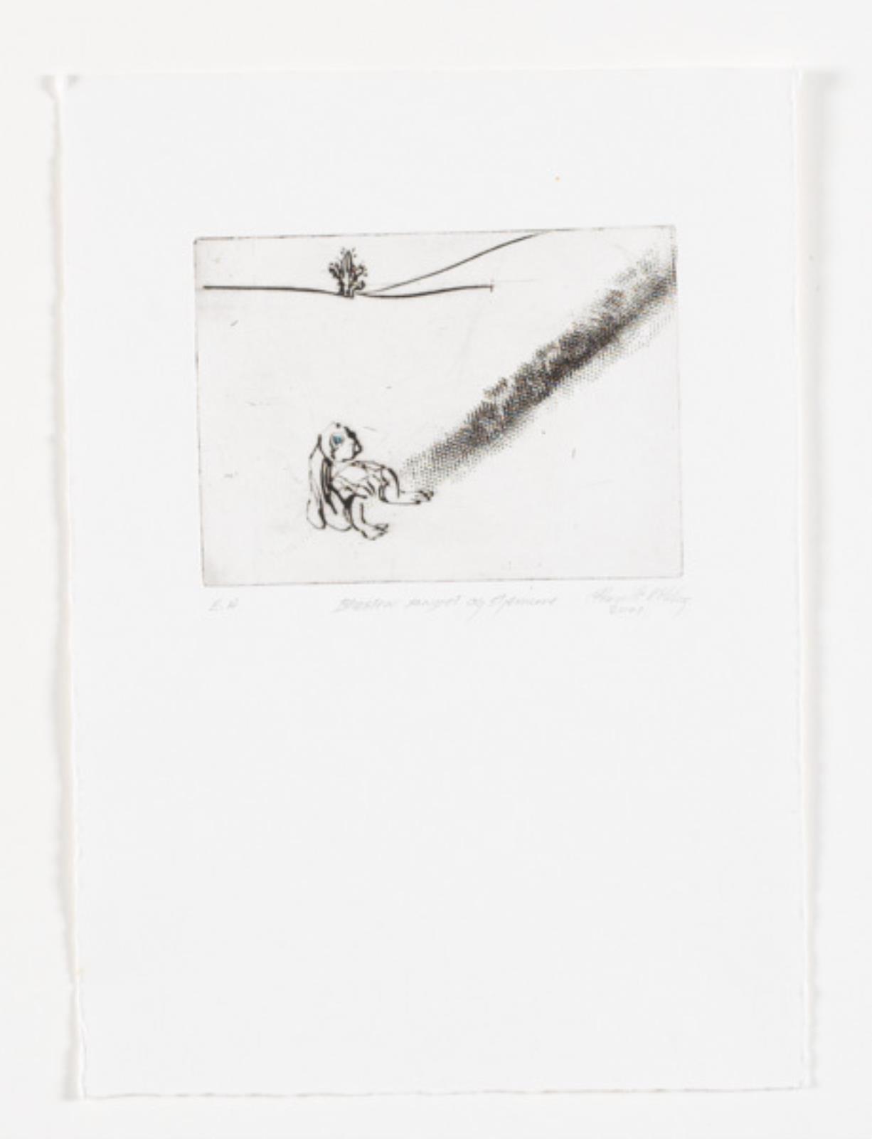 Blæsten, sandet og stjernerne, Pernille Kløvedal Helweg, 2000-2001