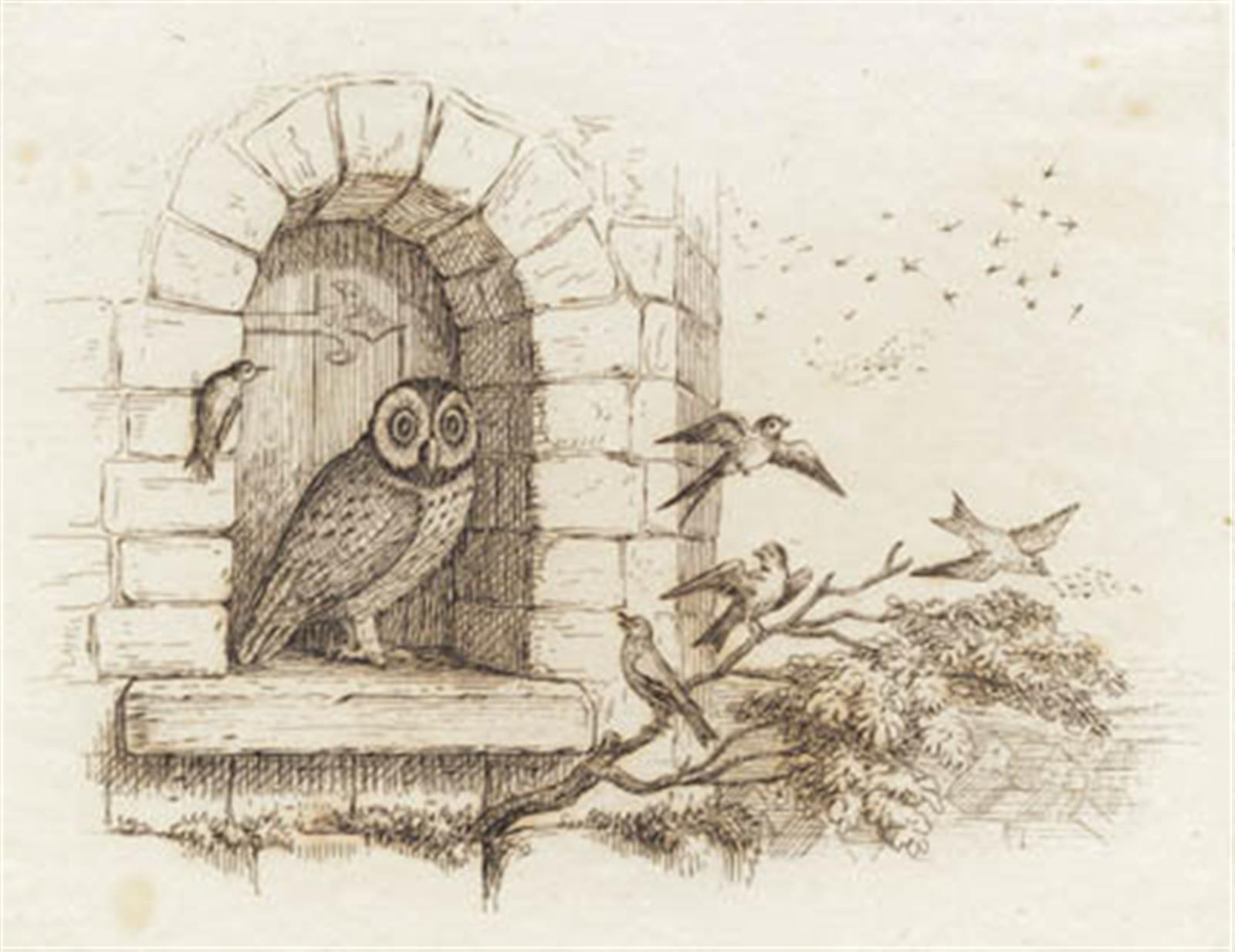 Illustration til "Halvhundrede Fabler for Børn" af Hey