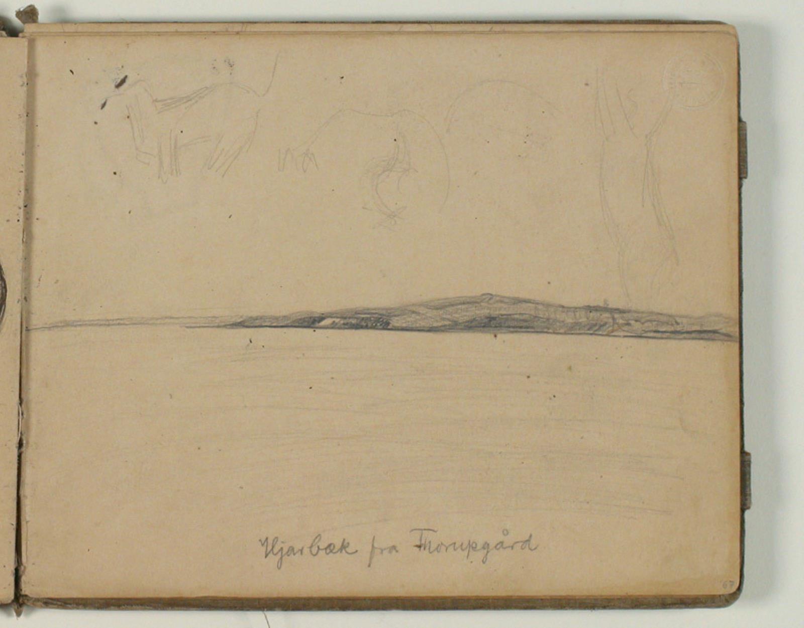 Landskabsskitse og dyreskitser