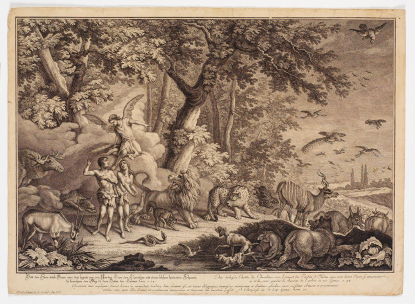 Uddrivelsen fra paradiset