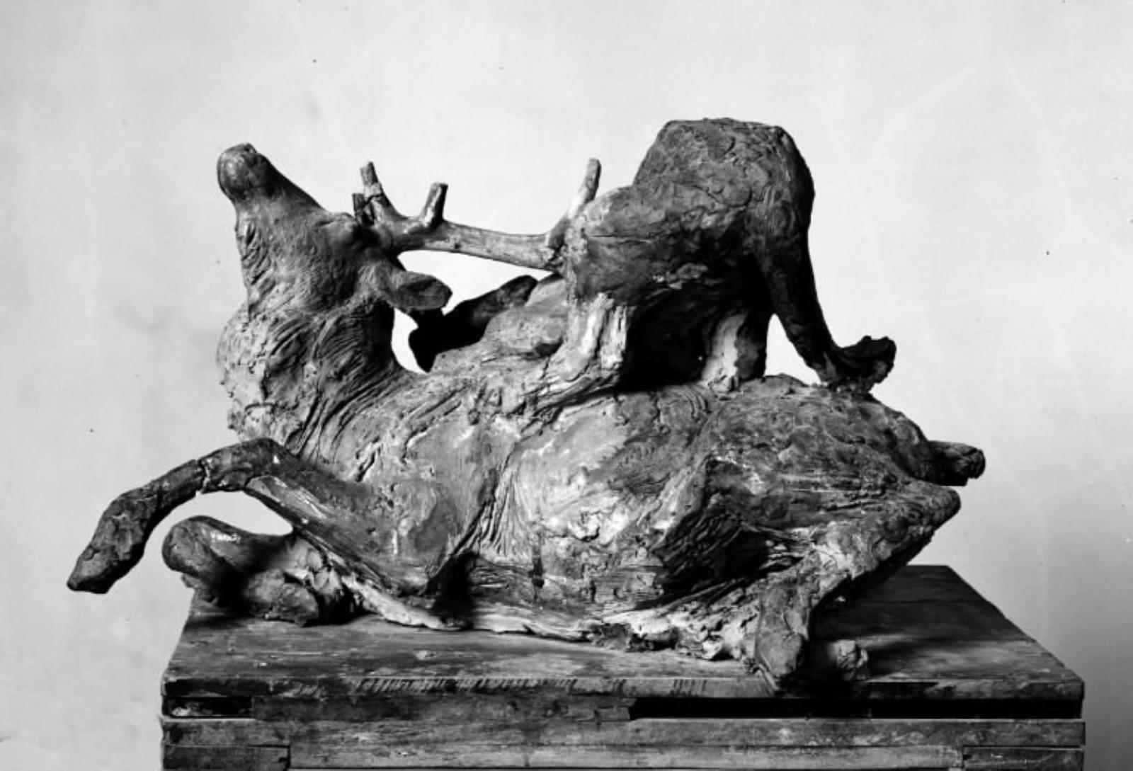 Hjort og jaguar, Mogens Bøggild, 1954-1955