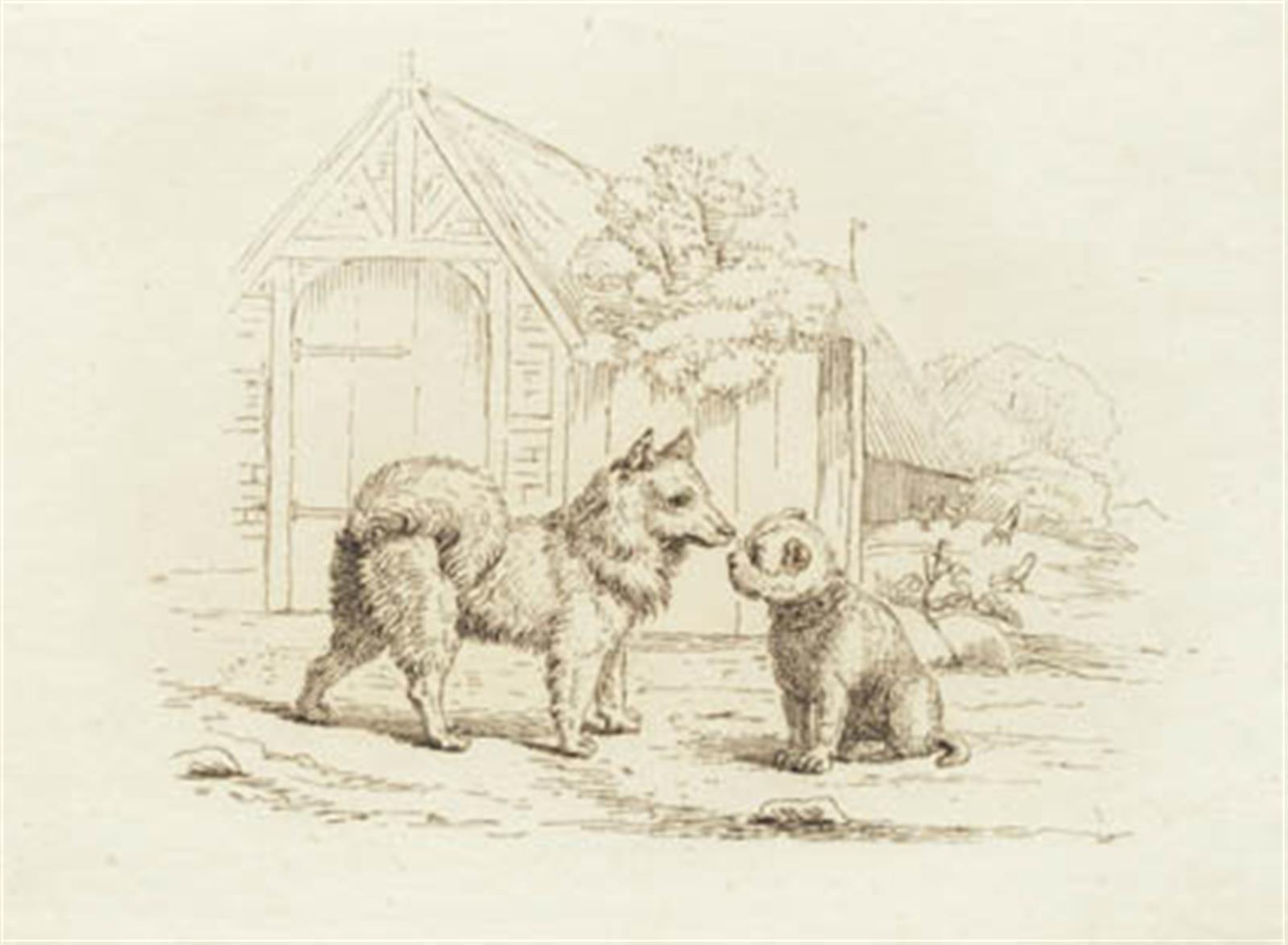 Illustration til "Halvhundrede Fabler for Børn" af Hey