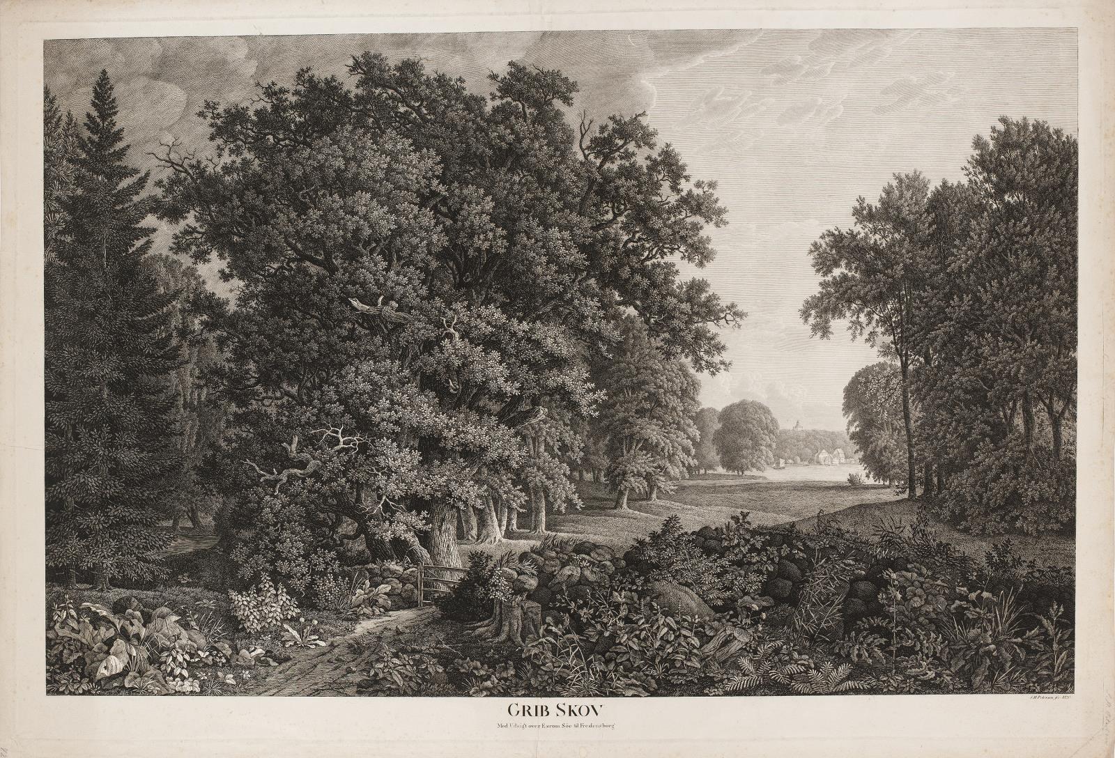 Grib Skov med udsigt over Esrum Sø til Fredensborg