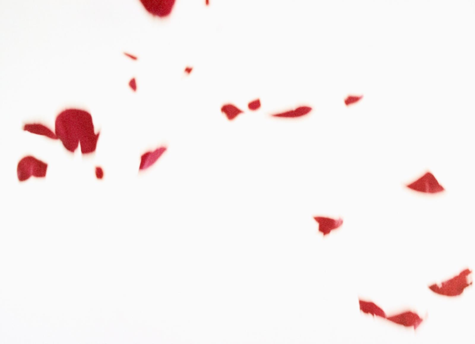 Flies of Memory, Ann Lislegaard, 1995