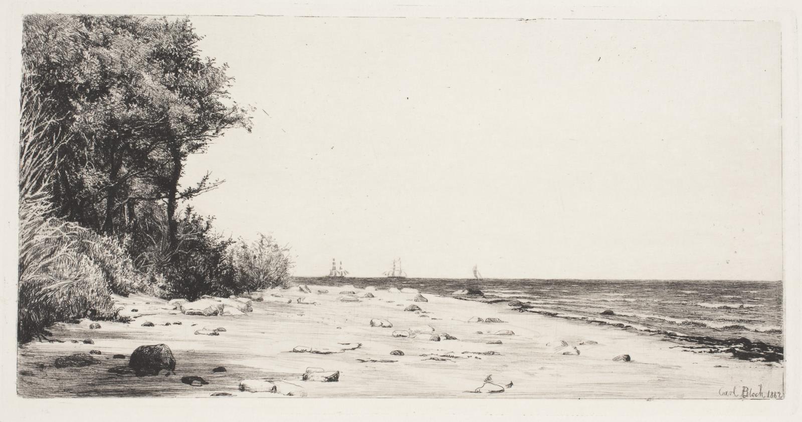 Fra Sjællands nordkyst. Hornbækplantagen