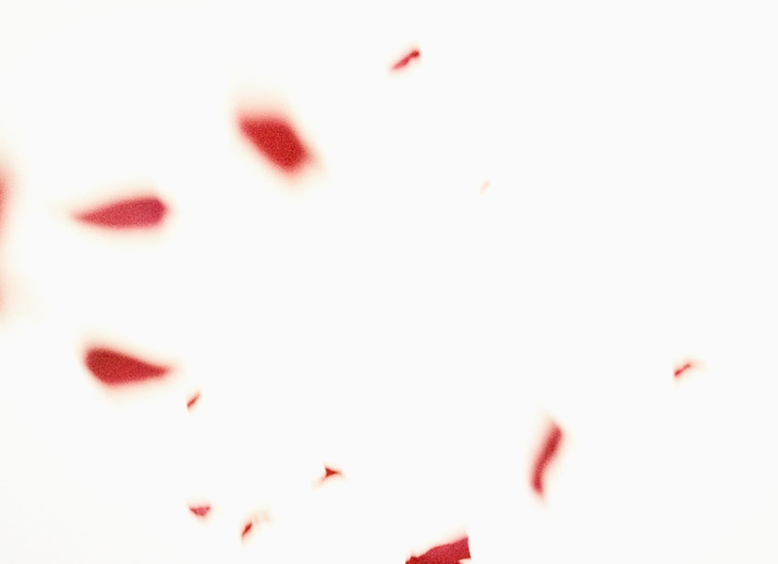 Flies of Memory, Ann Lislegaard, 1995