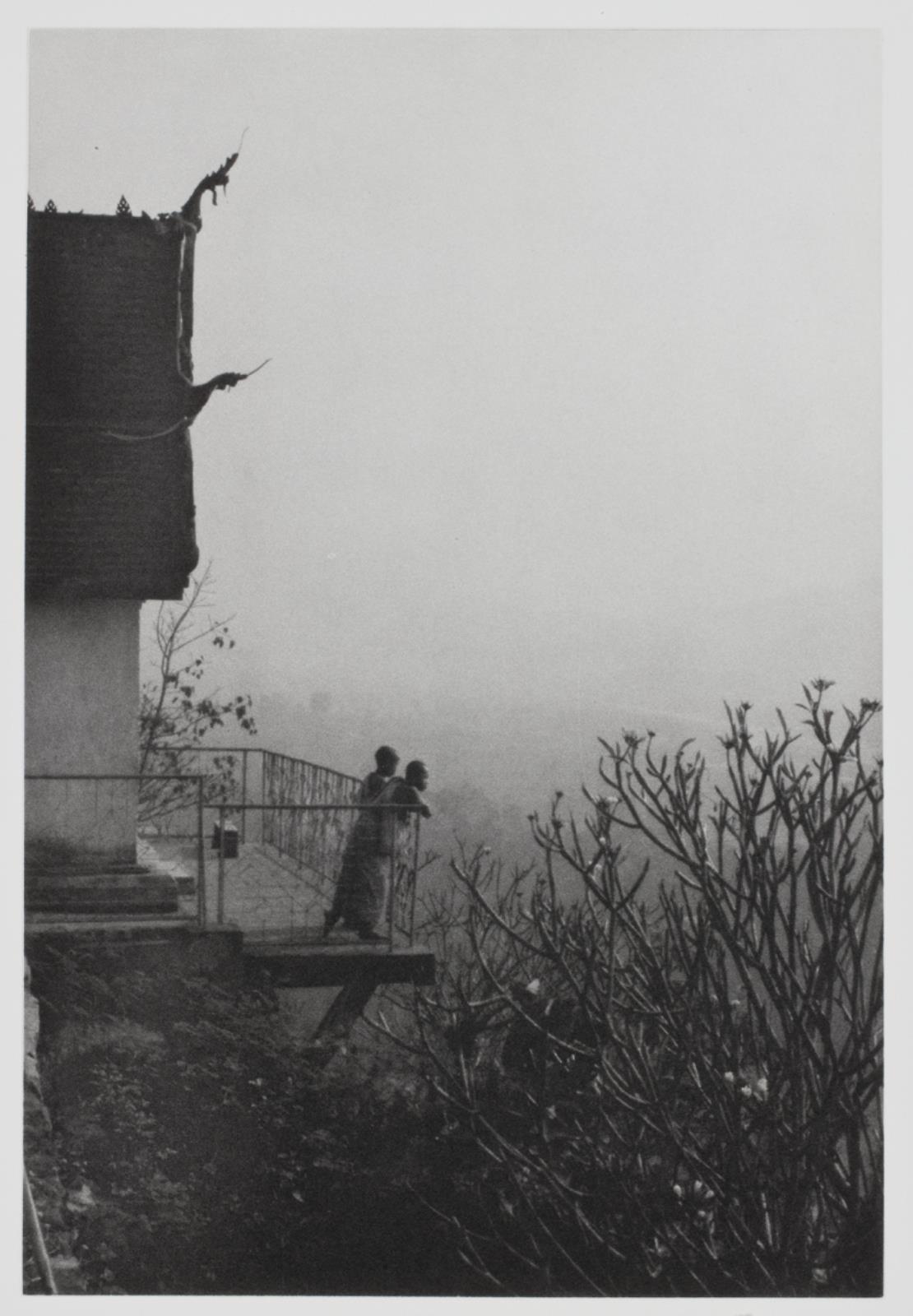 "Archive of Dr. Joseph M. Carrier 1962-1973", Danh Vo, 2010