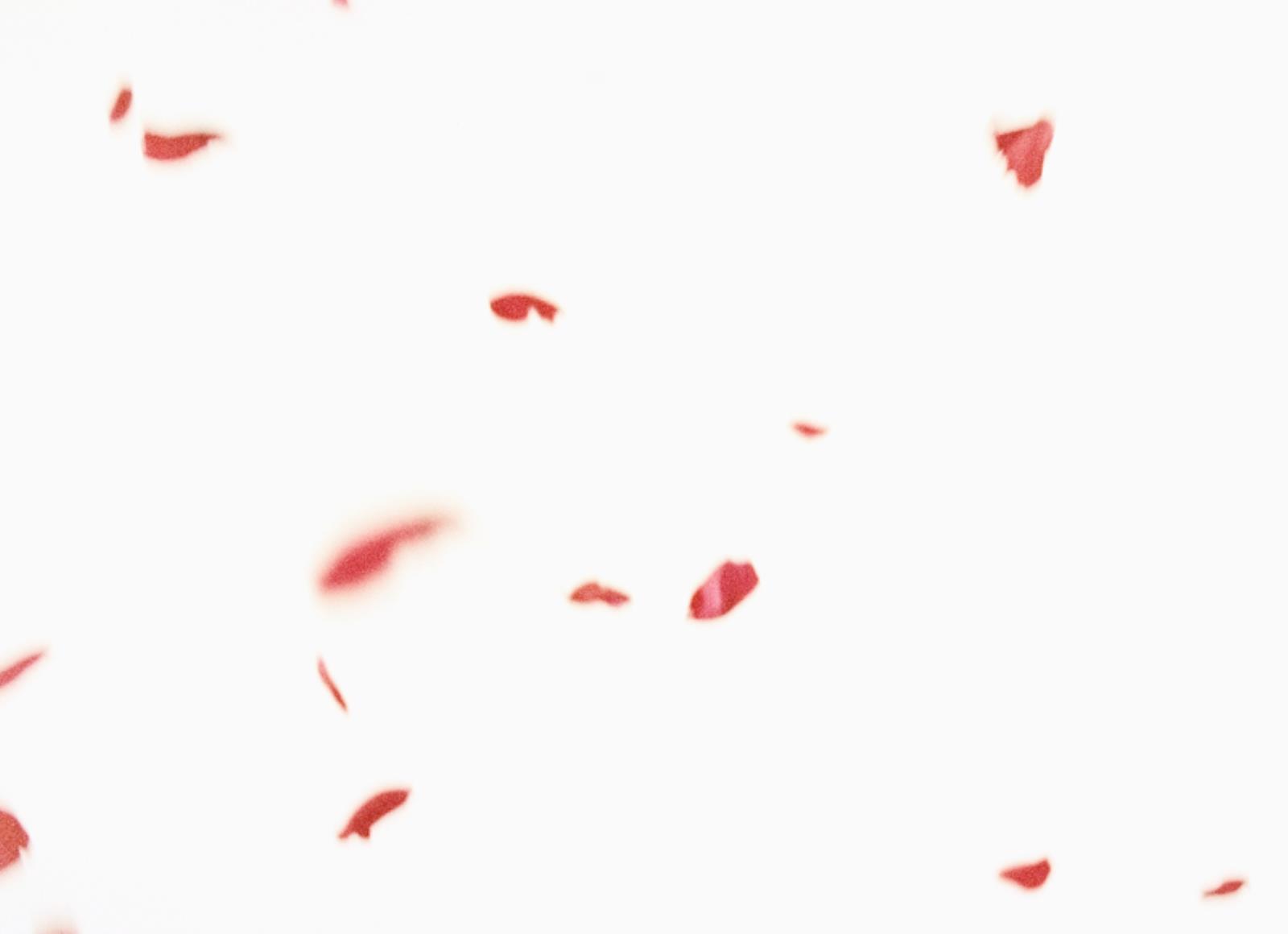 Flies of Memory, Ann Lislegaard, 1995