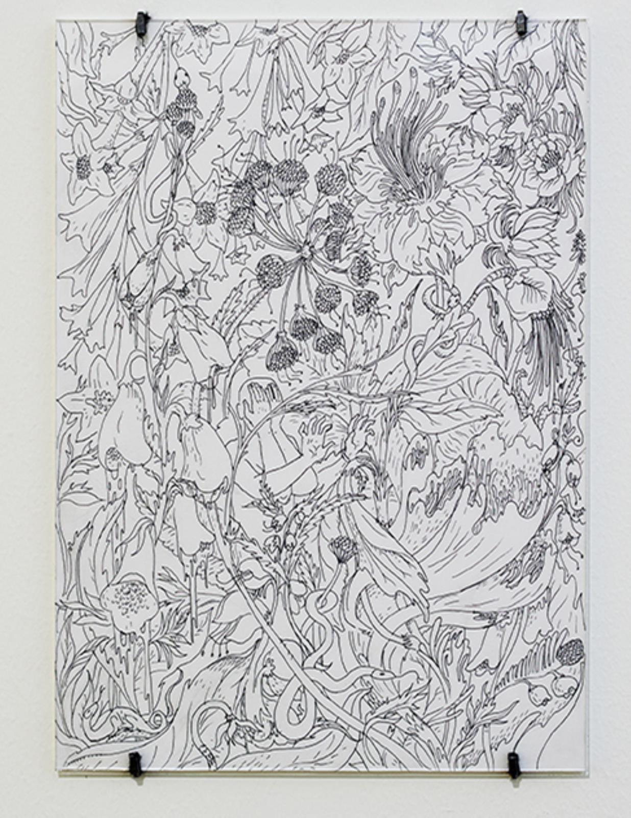Sur Pollen, Rolf Nowotny, 2015