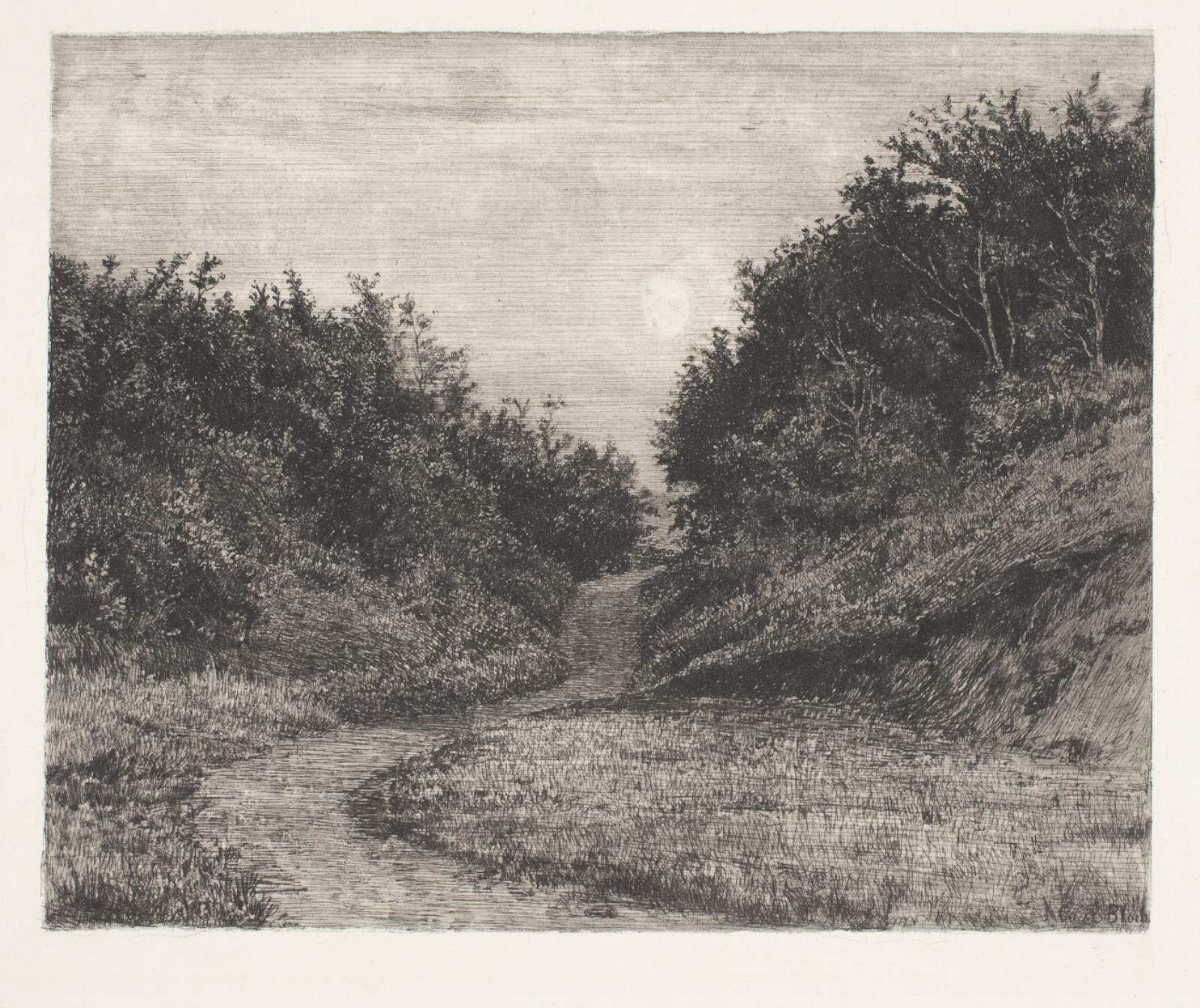 En måneskinssommeraften. Hellebæk.