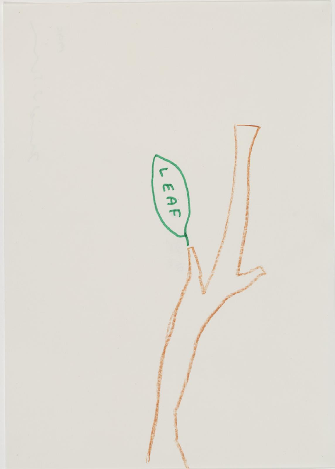 Uden titel (Leaf), David Shrigley, 1996