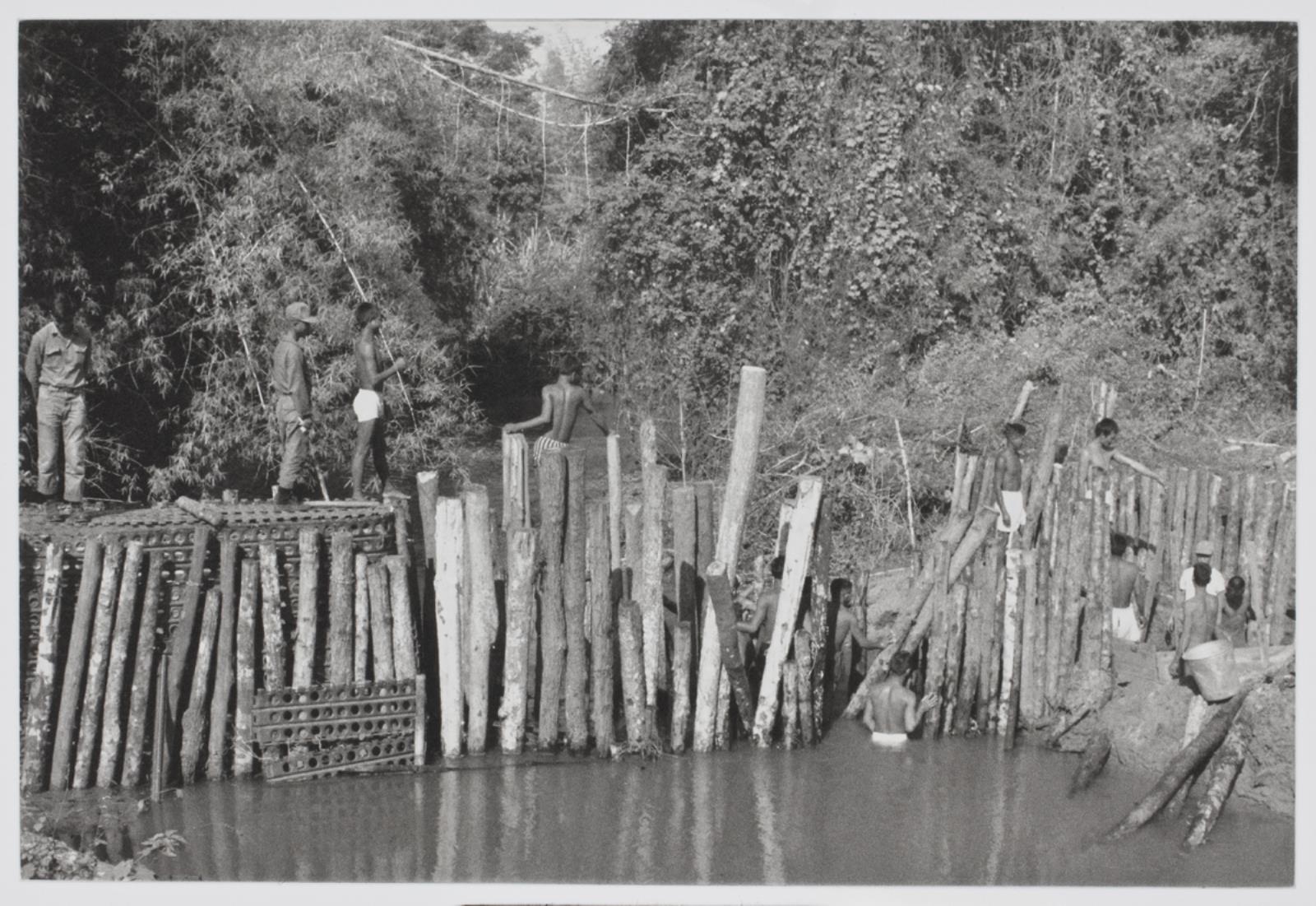 "Archive of Dr. Joseph M. Carrier 1962-1973", Danh Vo, 2010