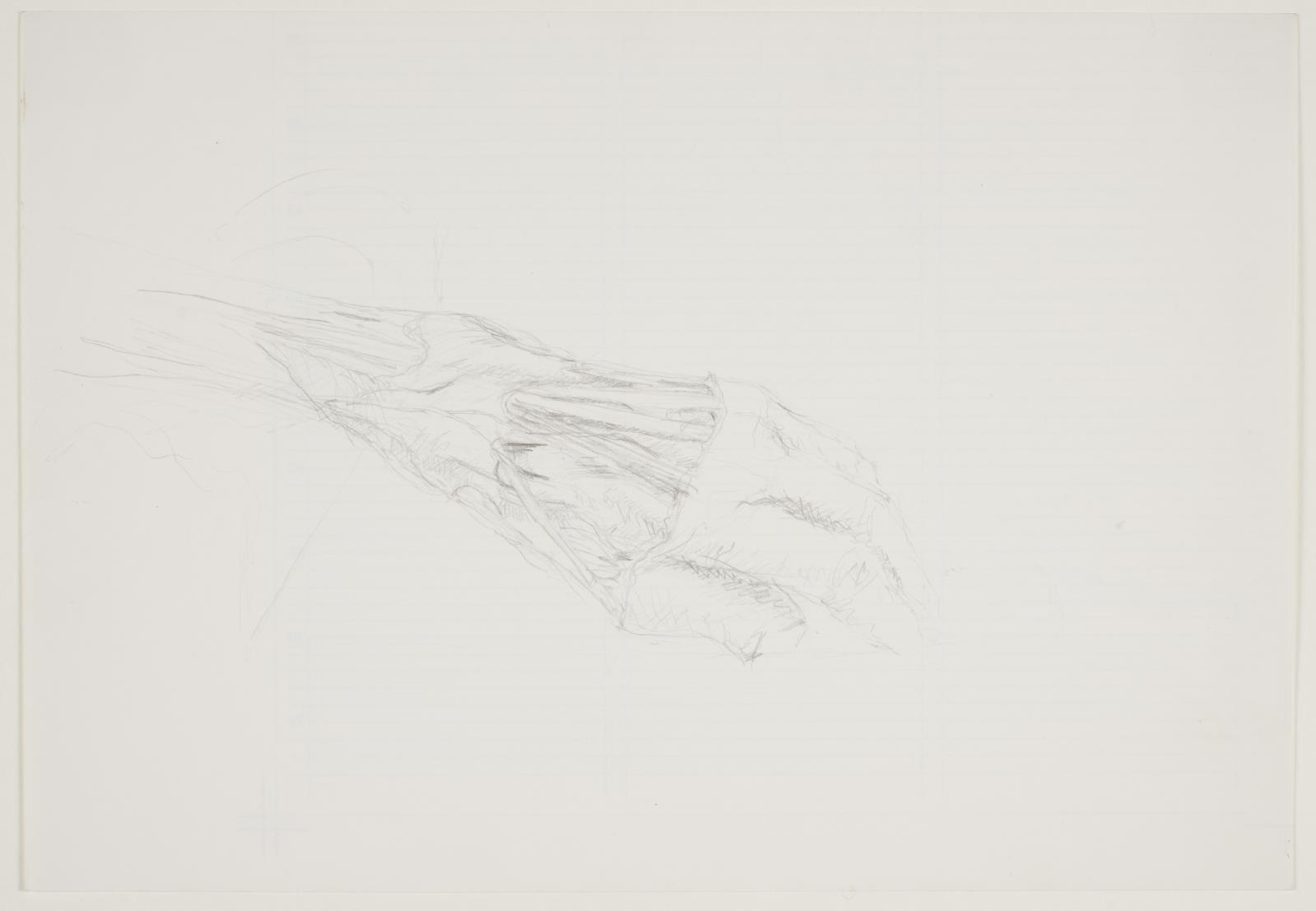 Anatomisk studie: Hånd, Bjørn Nørgaard, 1977