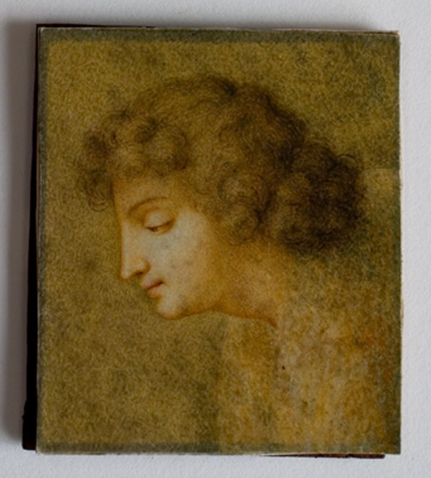 Idealt ynglingehoved