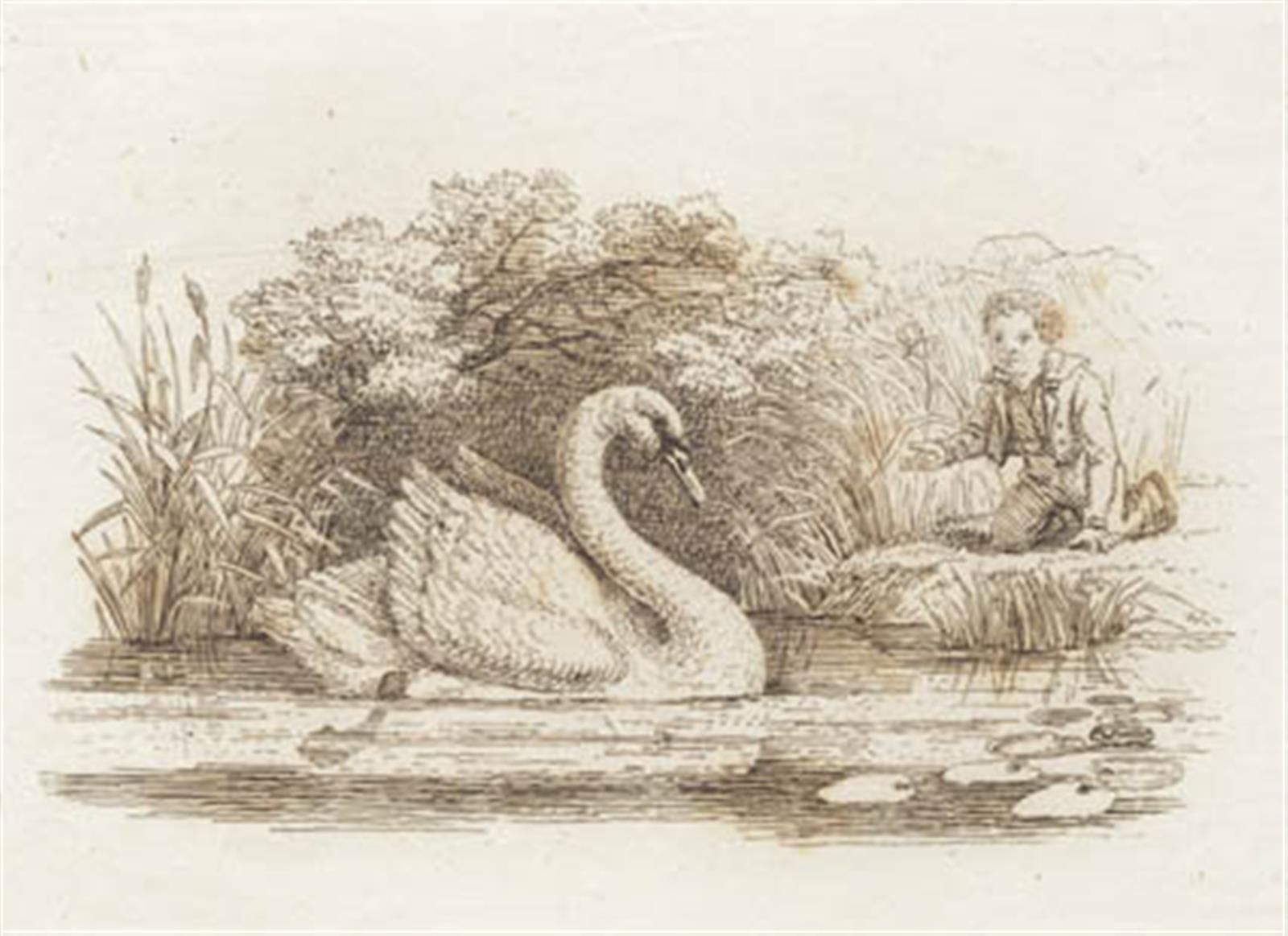 Illustration til "Halvhundrede Fabler for Børn" af Hey