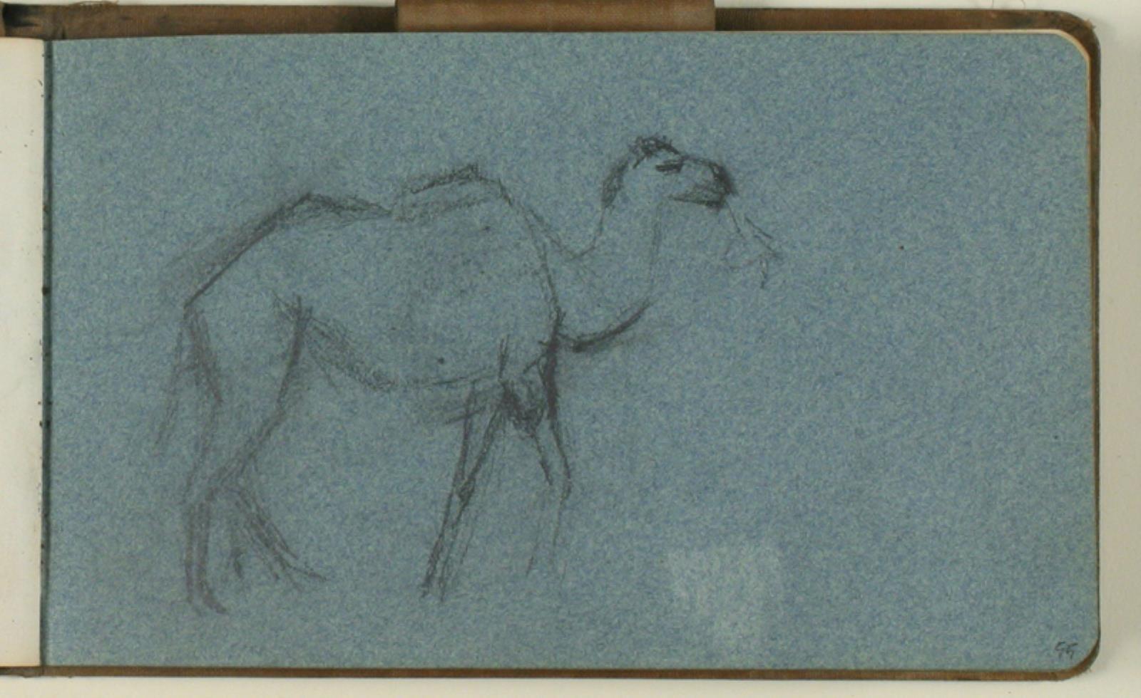 Studie af gående dromedar