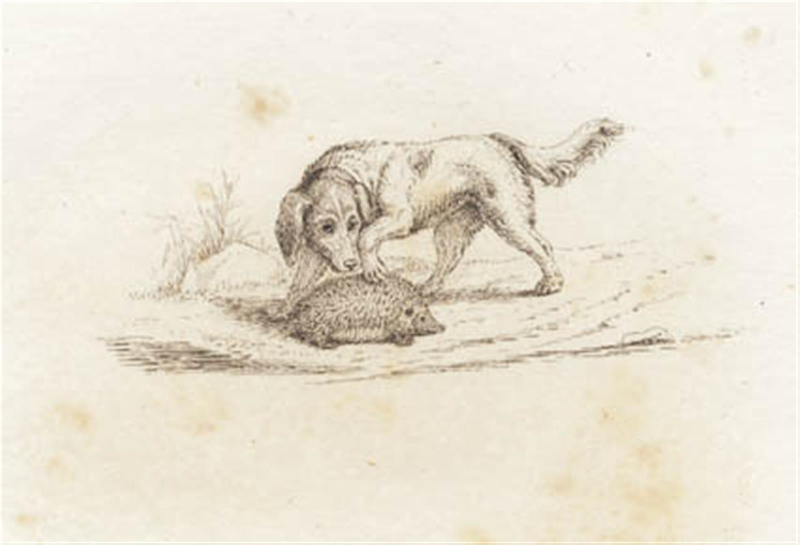 Illustration til "Halvhundrede Fabler for Børn" af Hey