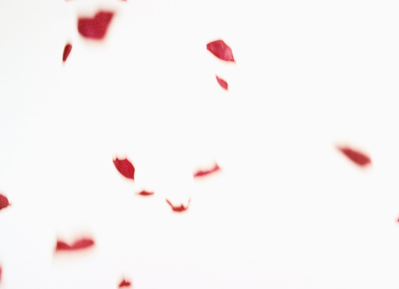 Flies of Memory, Ann Lislegaard, 1995