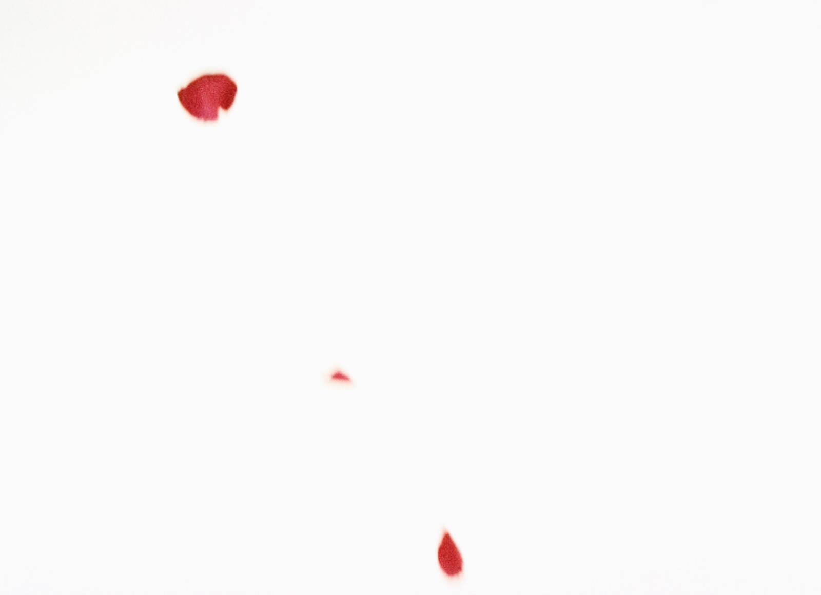 Flies of Memory, Ann Lislegaard, 1995