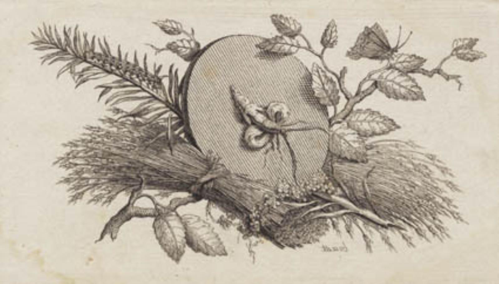 En cirkelrund hældende skive mellem blade og insekter