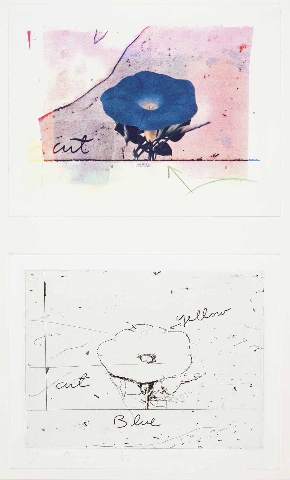 Morning Glory, Jim Dine, 1972