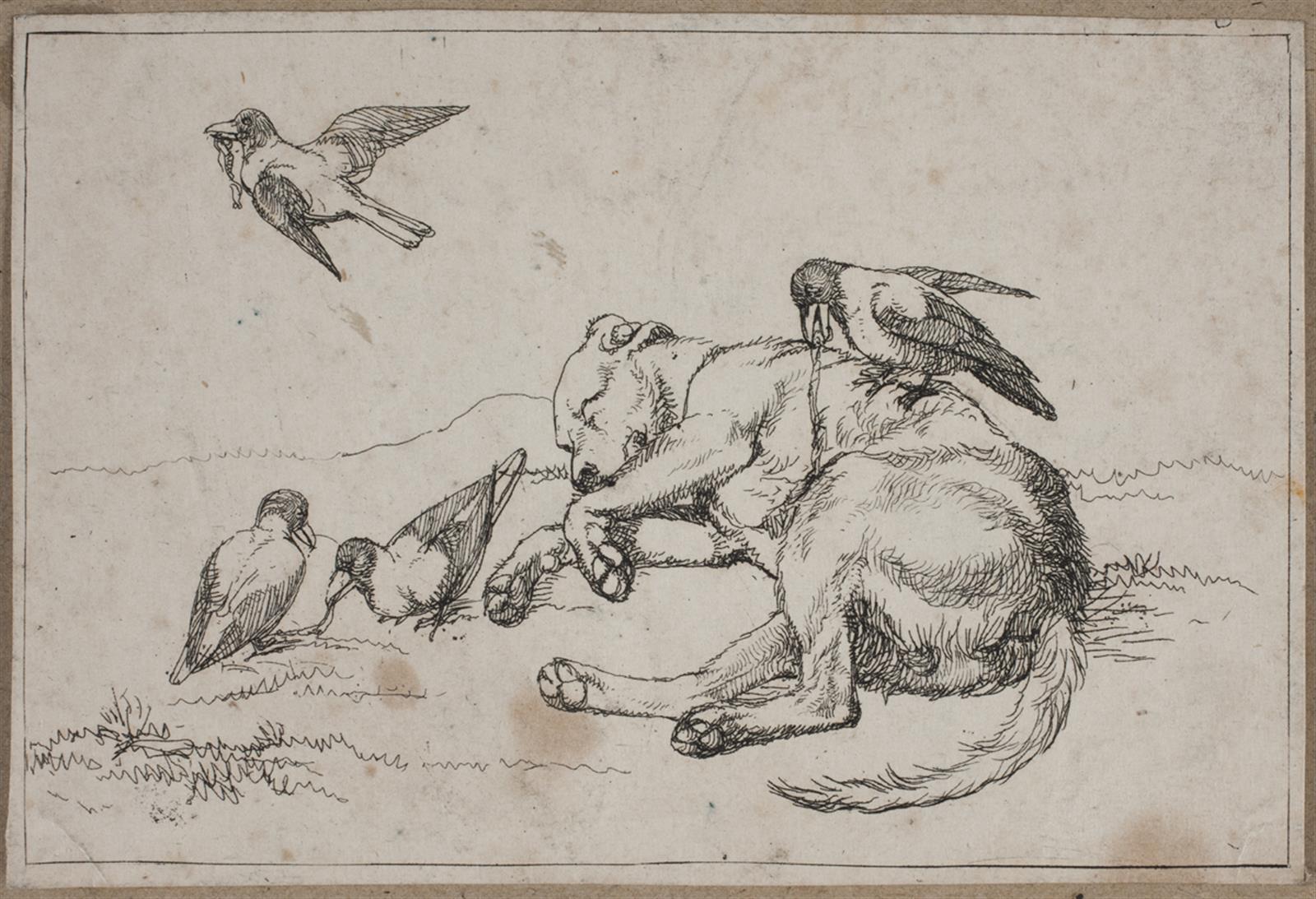 Billede 9 fra En hunds liv