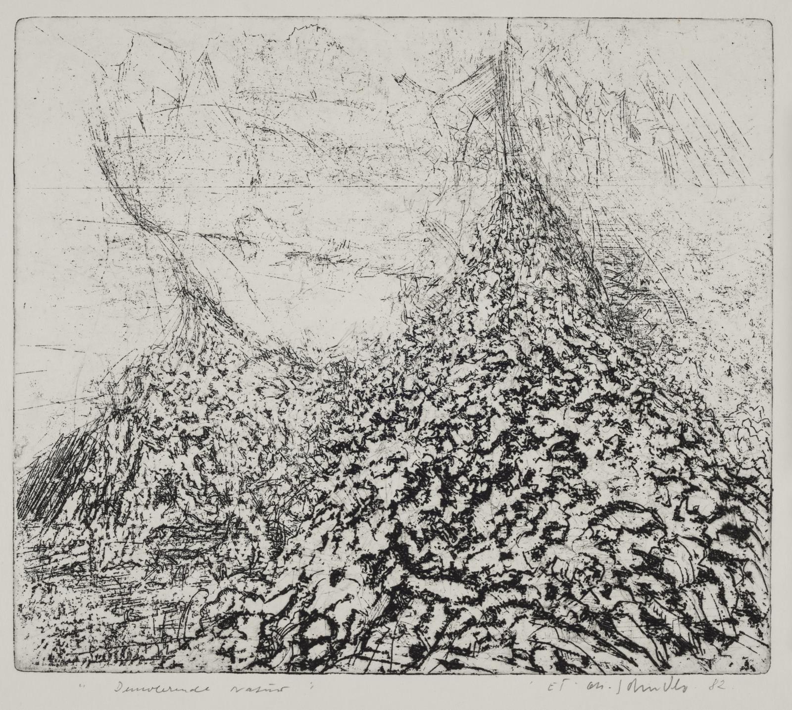 Demo[...] Natur, John Olsen, 1982