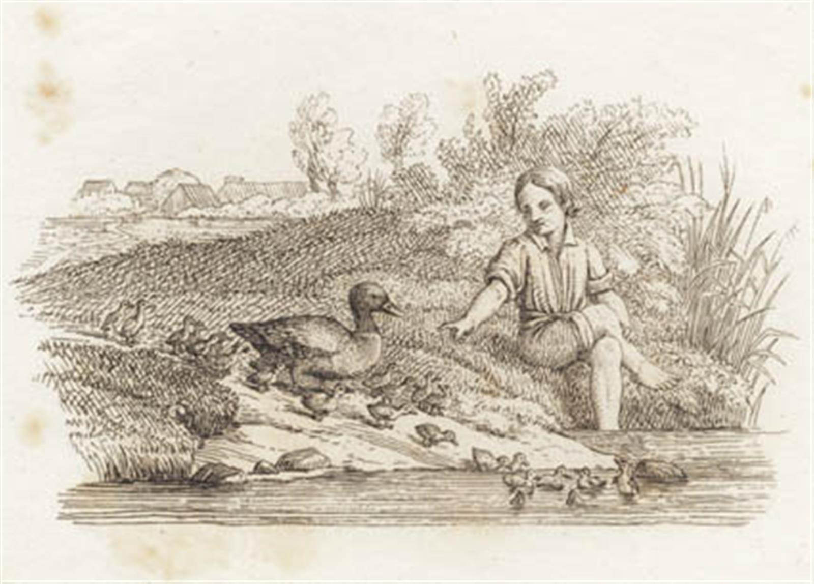 Illustration til "Halvhundrede Fabler for Børn" af Hey