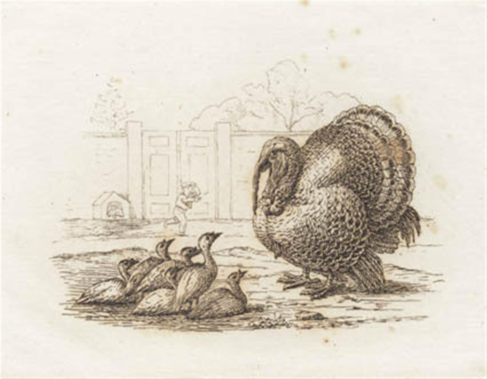 Illustration til "Halvhundrede Fabler for Børn" af Hey