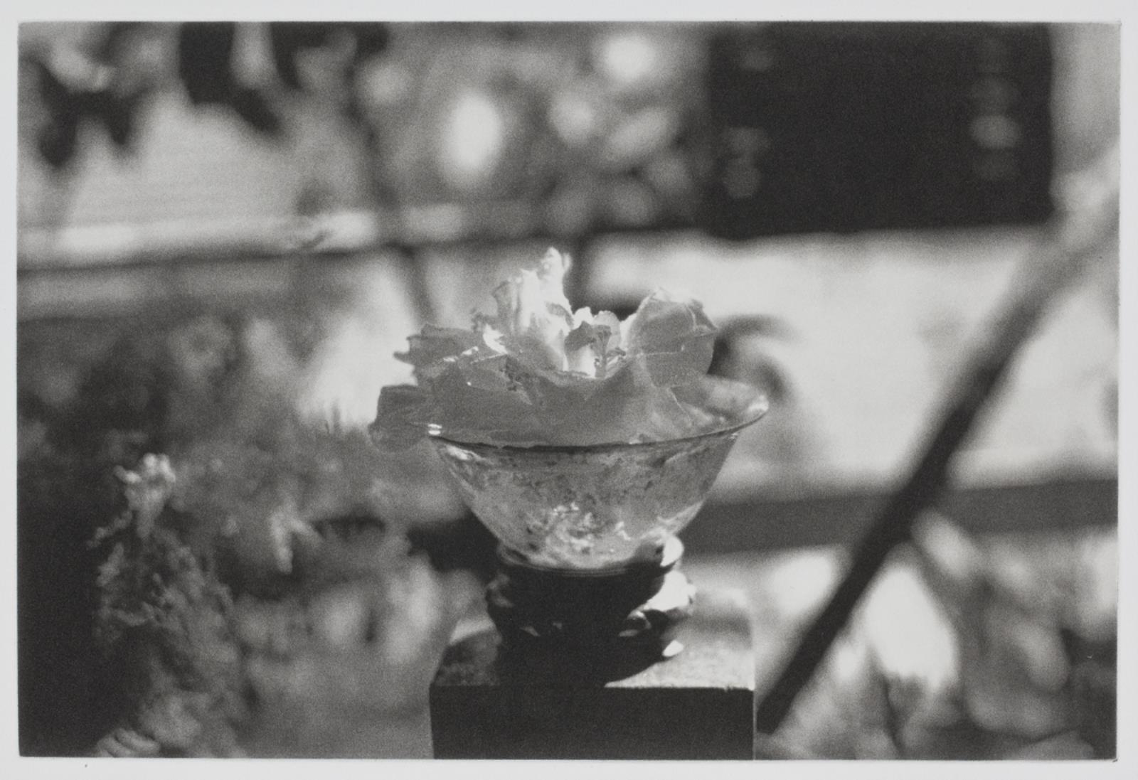 "Archive of Dr. Joseph M. Carrier 1962-1973", Danh Vo, 2010