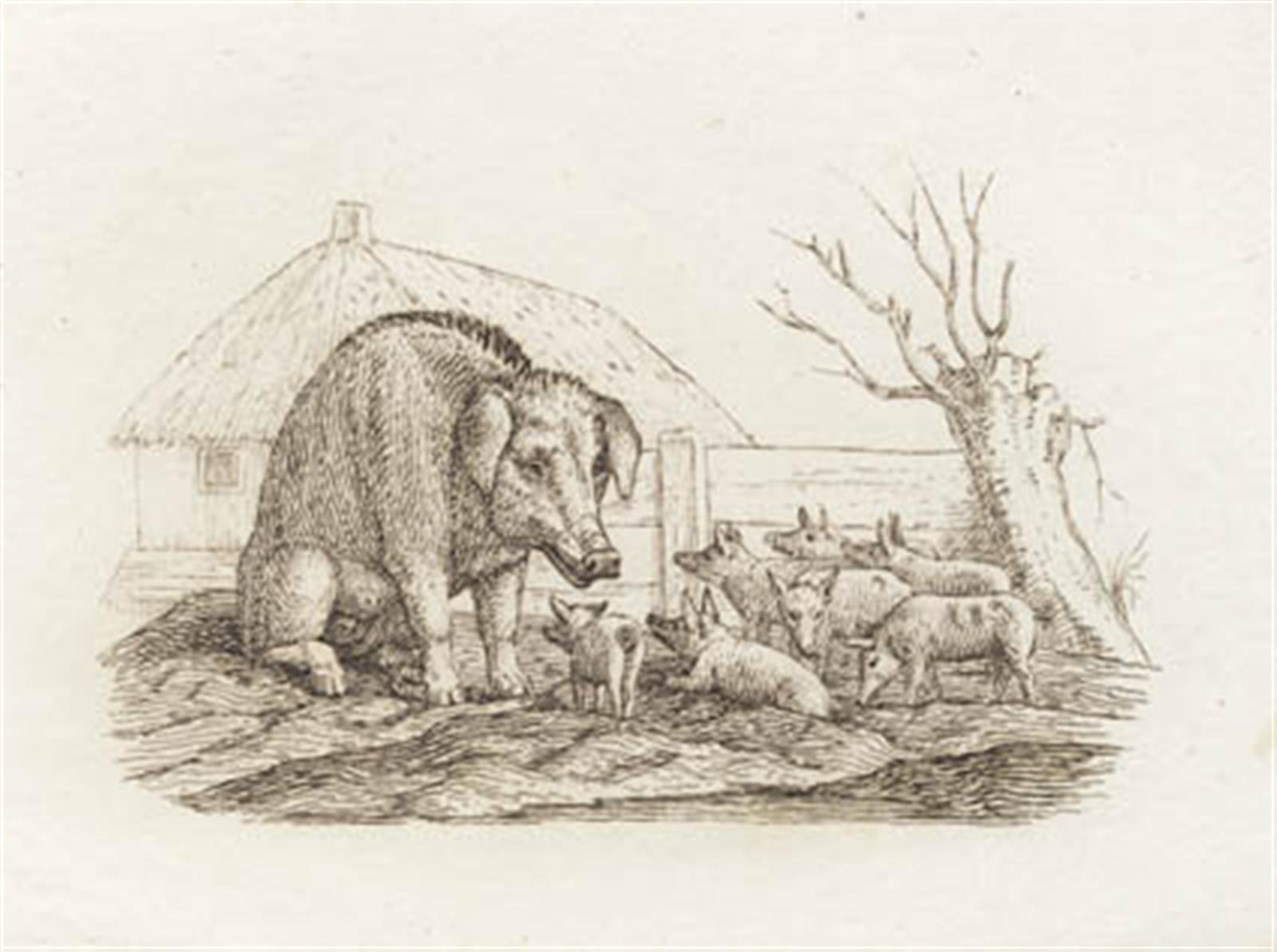 Illustration til "Halvhundrede Fabler for Børn" af Hey