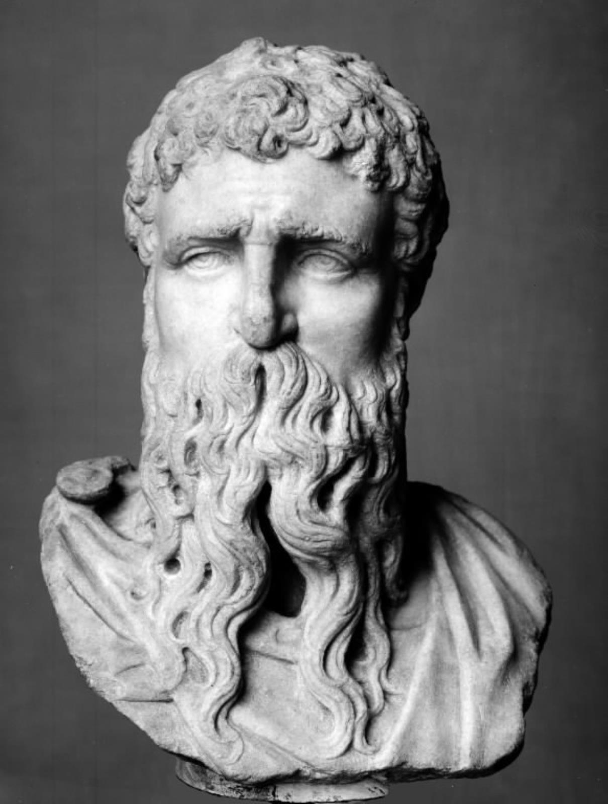 Hoved af en skægget mand