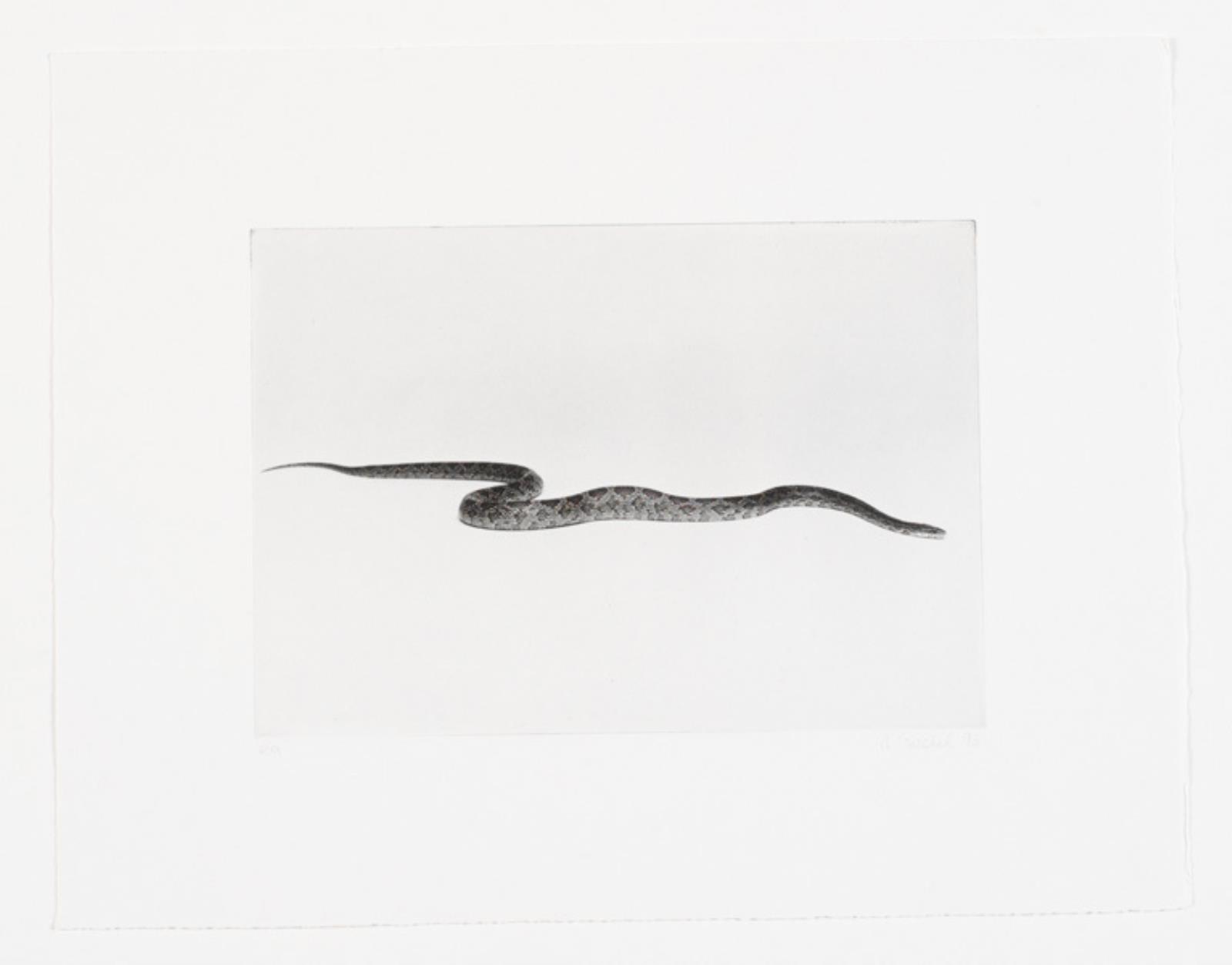 Landschaft mit Frauenfigur, Rosemarie Trockel, 1993