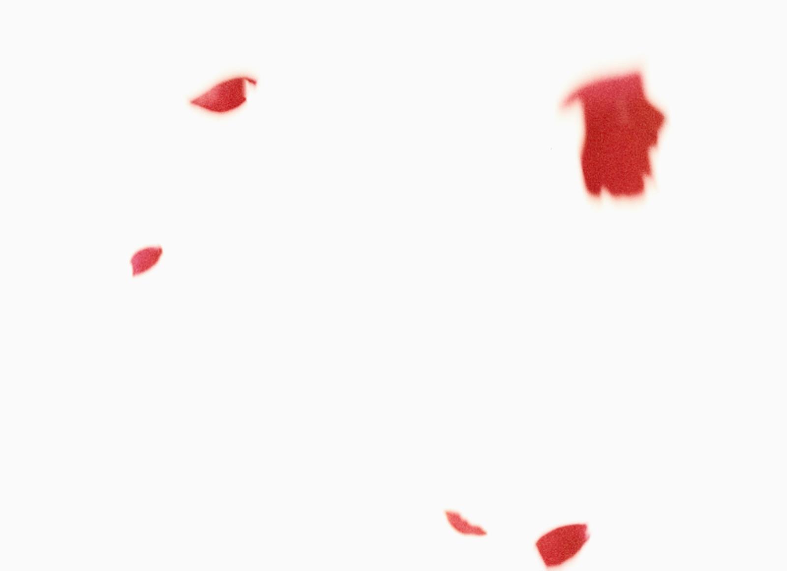 Flies of Memory, Ann Lislegaard, 1995