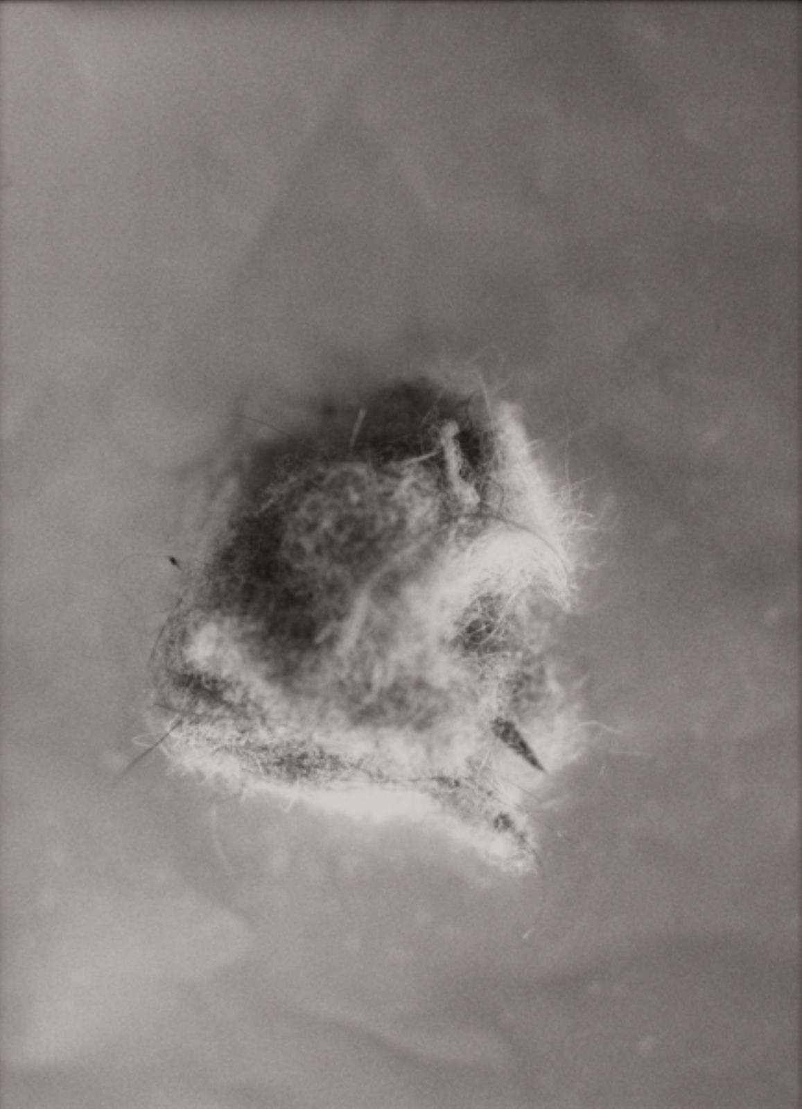 Uden titel, Mike Kelley, 1994
