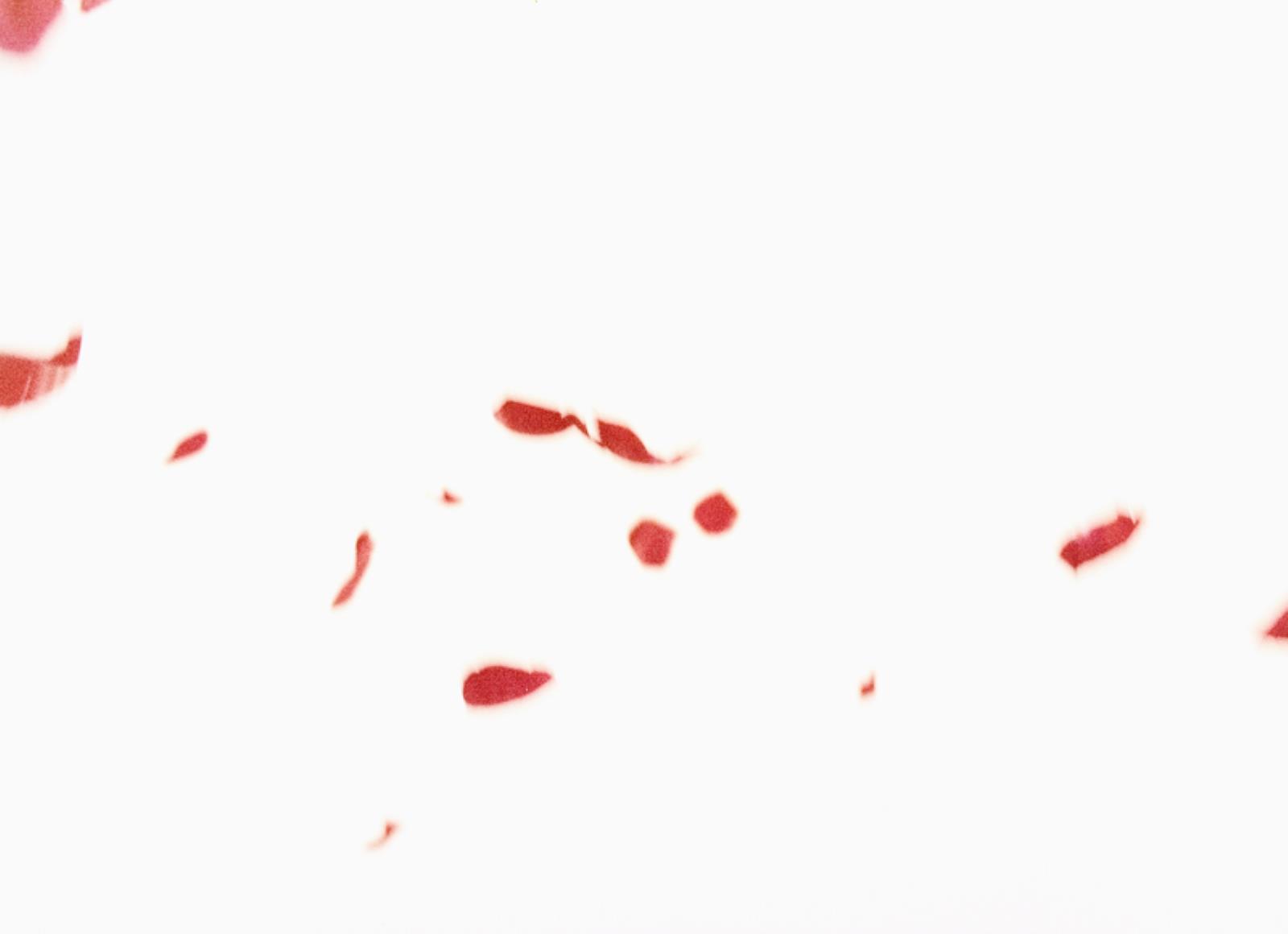Flies of Memory, Ann Lislegaard, 1995
