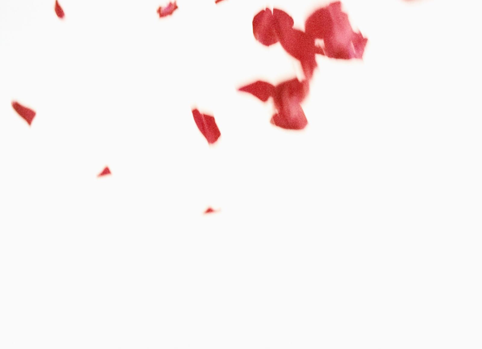 Flies of Memory, Ann Lislegaard, 1995