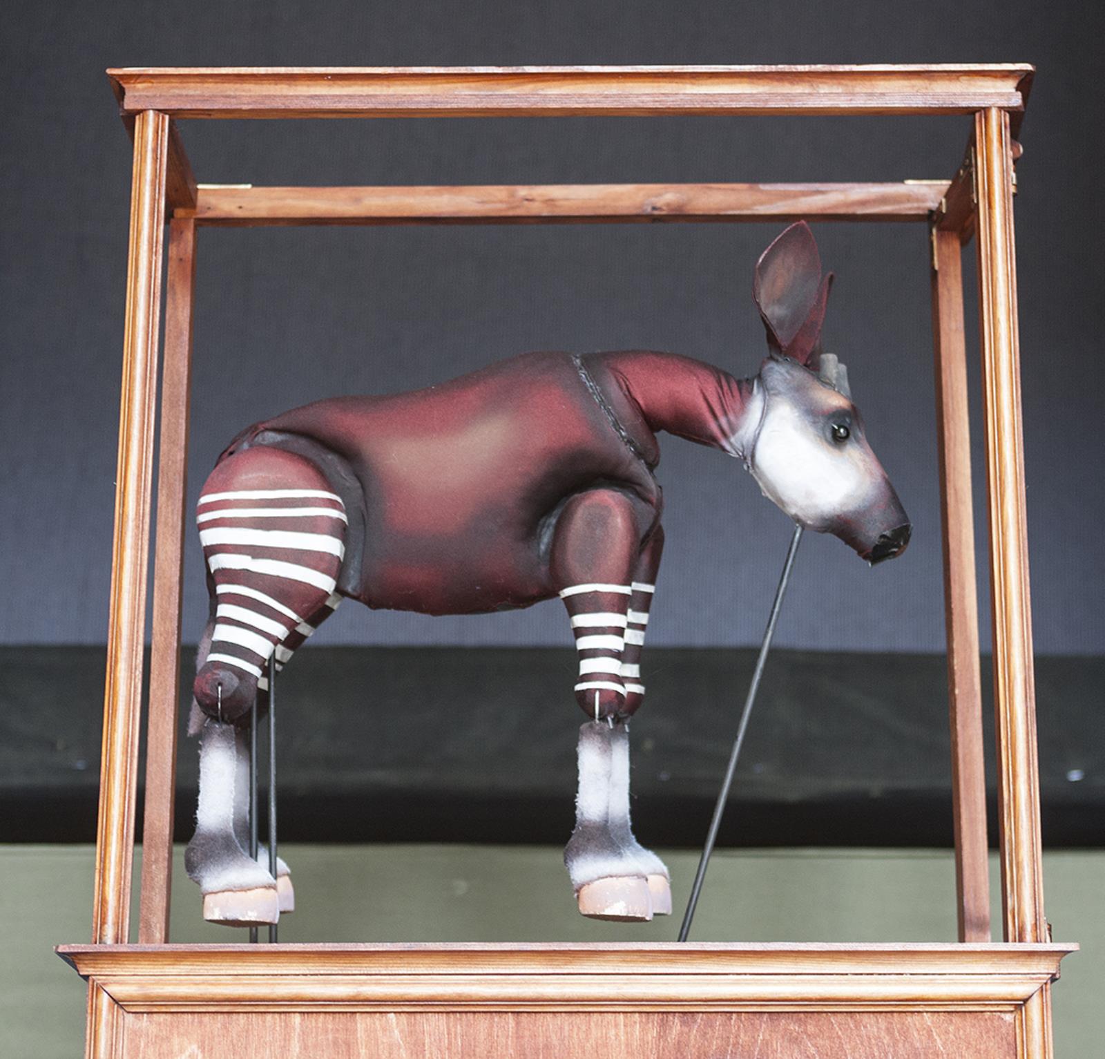 The Expedition, Simon Starling, 2011