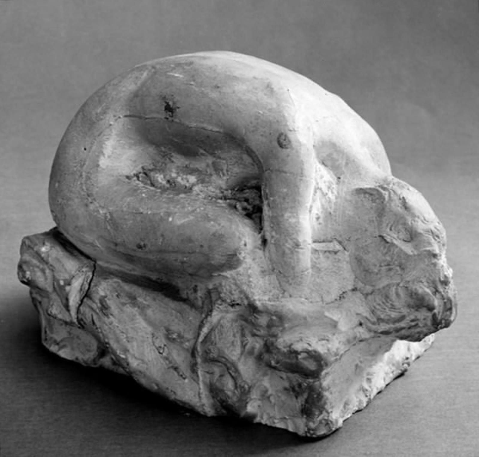 Nøgen kvinde siddende helt foroverbøjet