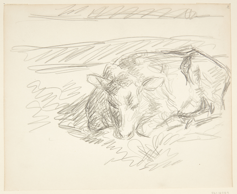 Liggende ko, Sigurd Swane, 1916