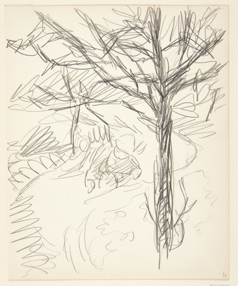 Havegang med Lasse på tur, Sigurd Swane, 1916