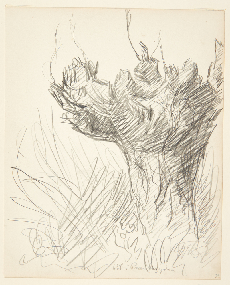 Pil i præstegården, Sigurd Swane, 1916